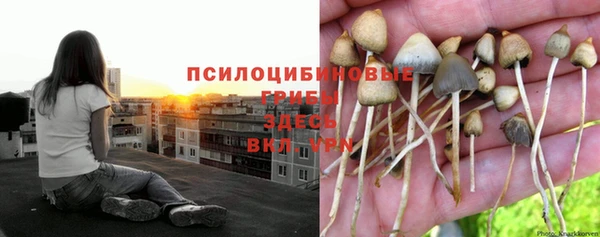 тгк Волосово