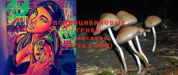 MESCALINE Верея