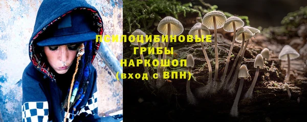 mix Верхний Тагил