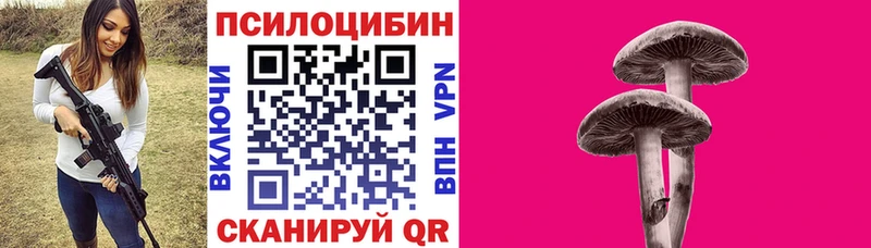 Псилоцибиновые грибы GOLDEN TEACHER  хочу наркоту  Южно-Сухокумск 
